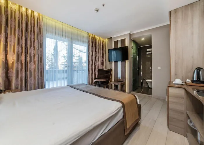 Royal Capital 3* Bursa